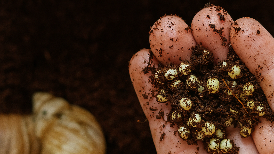 LUNA FARM لونا فارم تولیدکننده محصولات مراقبت از پوست و مو